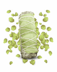 4° Chakra - Kit Anahata (Cuore)