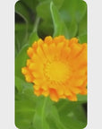 Olio Yoni alla Calendula