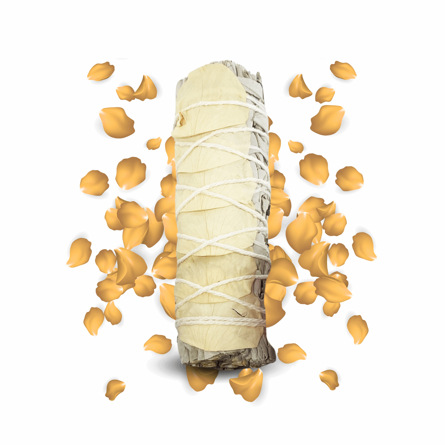 2° Chakra - Kit Svadhisthana (Sacrale)